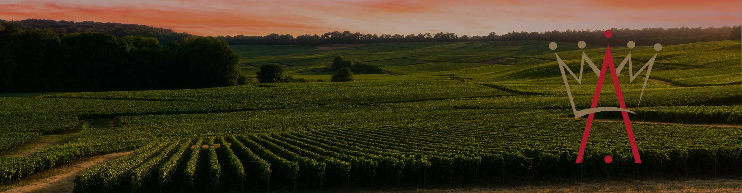Immagine di un paesaggio naturale che mostra un vasto prato verde curato, con il cielo color rosso, in orario di tramonto. Colore dell'immagine è leggermente oscurato. Sul lato destro è presente il logo grafico di Classy Wines.