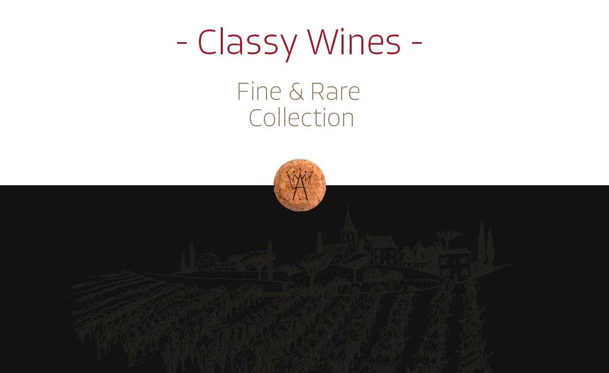 Parte finale del sito web con logo e scritta "Fine&rare Collection" e al di sotto un'immagine molto oscurata di una grafica che rappresenta in modo stilizzato un vigneto.